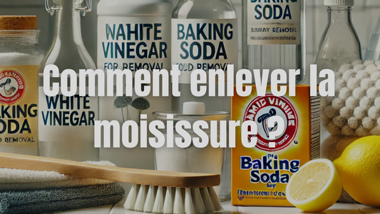 Comment enlever la moisissure dans la salle de bain